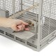 Eine Hand greift in einen grauen Metall-Haustierkäfig, um eine Futterschüssel zu entfernen, mit einer sichtbaren Holzstange im Inneren des Käfigs.