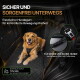 Golden Retriever auf gesteppter Rücksitzauflage mit elastischem Hundesicherheitsgurt; sichtbarer Text: 'SICHER UND SORGENFREI UNTERWEGS'.