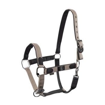 Beige und schwarzes verstellbares Haustiergeschirr mit gepolsterten Riemen und Metallclips, entworfen für Komfort und Kontrolle.