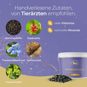 Lila PFERDEGOLD-Eimer mit schwarzen Pellets und Zutatenkreisen; Text: ‚Handverlesene Zutaten, von Tierärzten empfohlen‘.
