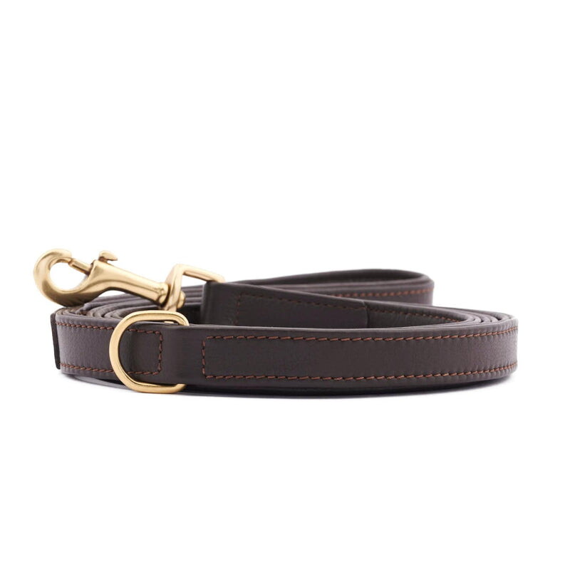 William Walker Hundeleine Plain Earth XXS-XS