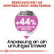 Bild zur Bewerbung eines Hundesprodukts mit Text: "Berücksichtigt die Empfindlichkeit Ihres Hundes," "+44% ausgewogenes Verhalten," und "Passt sich einer unruhigen Umgebung an."