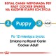 Opakowanie karmy dla psów Royal Canin Cocker Spaniel, wskazujące etapy od "Szczeniaka" w wieku 2 miesięcy do "Dorosłego" w wieku 12 miesięcy, z notatką o przejściu.