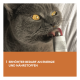Graue Katze mit gelben Augen leckt an einer Tube; orangefarbene Box zeigt den Text 'ERHÖHTER BEDARF AN ENERGIE UND NÄHRSTOFFEN'.