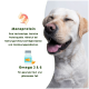 Hund mit Text über Vorteile von Haustierfutter: Monoprotein als hochwertige tierische Eiweißquelle und Omega 3 & 6 für gesunde Haut und glänzendes Fell.