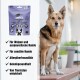 Ein Hund sitzt neben einem Paket "Eat SMALL Insects for Pets," das die Gelenkgesundheit fördert und allergiefreundlich für Hunde ist.