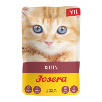 Eine Tüte Josera Kätzchen-Pâté-Hundefutter mit einem Nahaufnahmebild eines flauschigen orangefarbenen Kätzchens auf der Vorderseite, beschriftet mit "KITTEN."