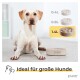 Ein sitzender Hund in einem hellen Raum, neben drei Futternäpfen mit den Bezeichnungen 0,4L, 0,8L und 1,4L, mit dem Text "Ideal für große Hunde."