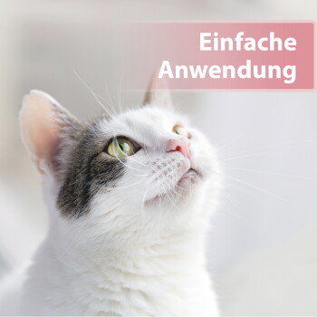 Nahaufnahme einer weiß-grauen Katze mit grünen Augen und rosa Nase, Blick nach oben; rosa Etikett: 'Einfache Anwendung'.
