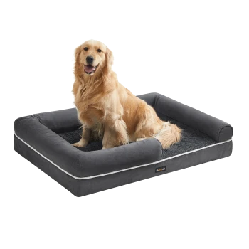Golden Retriever sitzt auf einem grauen Hundebett mit erhöhtem Rand, weicher Innenpolsterung und kleinem Markenetikett vorne.