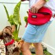 Eine Person in einem weißen Hemd und Jeansshorts hält eine rote DOOG-Tasche, während ein brauner Hund mit rotem Halsband auf seinen Hinterbeinen steht.