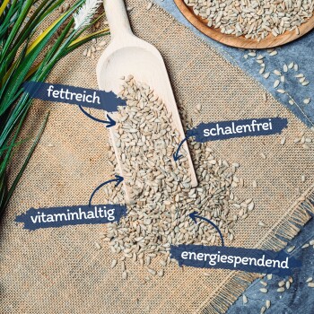Ein hölzerner Schaufel mit Sonnenblumenkernen auf Jute, beschriftet mit "fettreich," "schalenfrei," "vitaminhaltig," und "energiespendend."
