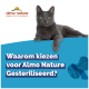 Chat gris se prélassant sur une surface bleue avec le texte "Waarom kiezen voor Almo Nature Gesteriliseerd ?" et le logo Almo Nature au-dessus.