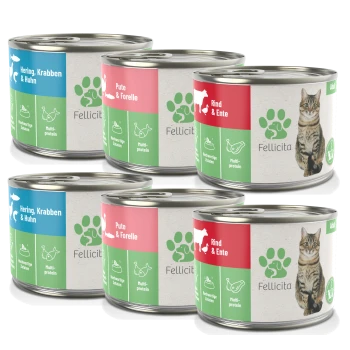 Fünf Dosen Haustierfutter mit der Aufschrift 'Fellicita', die Geschmäcker zeigen: Hering, Krabben & Huhn; Pute & Forelle; Rind & Ente, mit einem Katzenbild.