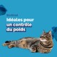 Un chat tigré détendu allongé sur un fond bleu avec le texte "Sterilised Idéales pour un contrôle du poids" affiché en évidence.