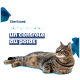 Un chat tigré détendu allongé sur un fond bleu avec le texte "Sterilised Idéales pour un contrôle du poids" affiché en évidence.