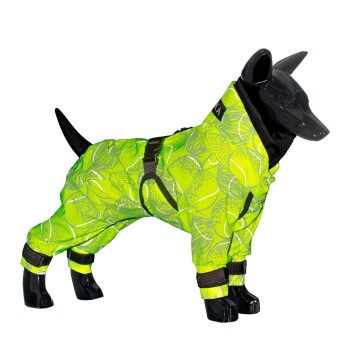 Ein schwarzes Hundemanikin, das einen leuchtend grünen Regenmantel mit Tennisballmuster trägt, mit verstellbaren Riemen und einer Kapuze.
