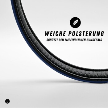 Nahaufnahme des Halses eines Hundes mit einem dunkelblauen Lederhalsband, das die Felltextur und -farbe des Hundes zeigt.