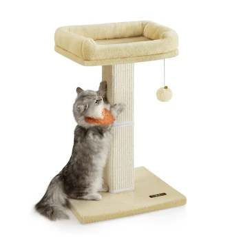 Eine flauschige graue Katze mit einem Halstuch kratzt an einem beigen Katzenbaum mit einer plüschigen oberen Liegefläche und einem baumelnden Pom-Pom-Spielzeug.