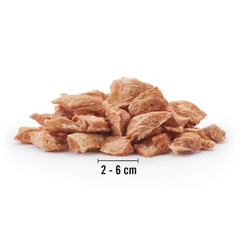 Ein Haufen getrockneter Haustierleckereien, die in der Größe von 2 bis 6 cm variieren, auf einem weißen Hintergrund präsentiert.