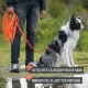 Person hält eine lange orange Leine mit einem schwarz-weißen Hund; deutscher Text über rutschfesten Griff und wetterfestes Material.