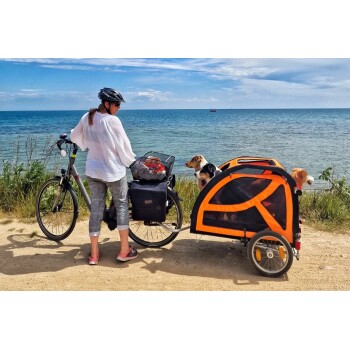 Eine Person in einem weißen Hemd und Helm steht neben einem Fahrrad mit einem Haustieranhänger, aus dem zwei Hunde herausspitzen, vor einer malerischen Strandkulisse.