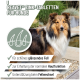 Ein Haufen runder, hellbrauner Haustier-Nahrungsergänzungsmittel oder Tabletten, mit einem Lineal zur Größenangabe, auf einem weißen Hintergrund.