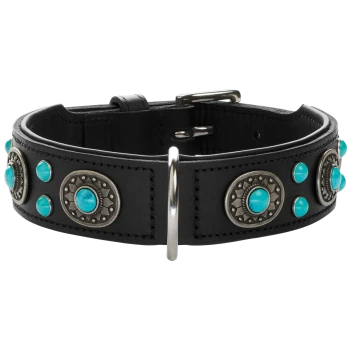 Schwarzes Leder-Hundehalsband, verziert mit türkisfarbenen Steinen und silbernen dekorativen Nieten, mit einer Metallschnalle.
