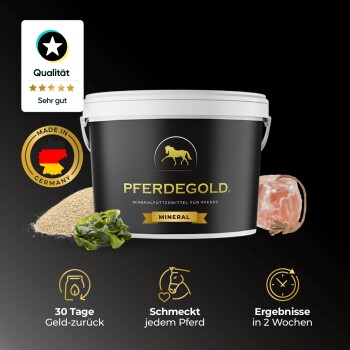 Schwarzer Eimer mit Pferdegold Mineralfutter für Pferde, mit deutschem Qualitätszeichen und Informationen zur 30-Tage-Garantie und Ergebnissen in 2 Wochen.