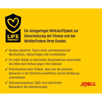 Hundeleinen- und Halsbandset in Rot mit schwarzen Pfotenabdrücken, beschriftet mit „Pet Essentials“ aus einem Online-Tierfachgeschäft.