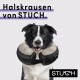 Ein glücklicher Border Collie trägt einen schützenden Halskragen von STUCH, mit dem Text "Halskrausen von STUCH." darüber.