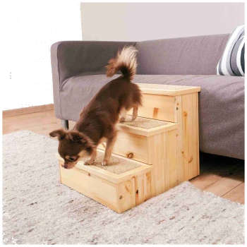 Ein kleiner brauner Chihuahua klettert eine Holzhaustiertreppe hinauf, die zu einem grauen Sofa führt, das auf einem hellen Teppich in einem gemütlichen Wohnzimmer steht.