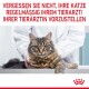 Eine getigerte Katze auf einem Tierarzt-Tisch schaut in die Kamera, mit einem Tierarzt in einem weißen Kittel neben ihr. Fettdrucktext: "VERGESSEN SIE NICHT, REGELMÄSSIG ZUM TIERARZT ZU GEHEN."