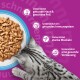 Getigerte Katze frisst aus einem blauen Napf; lila Anzeige auf Deutsch: unterstützt Haut & Fell, das Immunsystem, die Muskeln und die Verdauung.