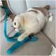 Creme-braune Katze liegt auf einem beigen Sofa und greift mit der Pfote nach einer türkisfarbenen Leine/einem Seil.