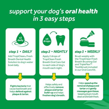 Infographic on supporting dog oral health with TropiClean: daily water solution, nightly gel, and weekly brushing.