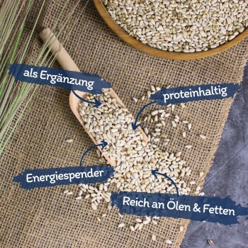 Eine Holzschaufel mit Samen auf Jute, beschriftet auf Deutsch: "als Ergänzung," "proteinreich," "Energiespender," und "Reich an Ölen & Fetten."