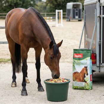 Ein braunes Pferd mit einer weißen Blesse frisst aus einer Schüssel neben einer Tüte Panto Pferdefutter, reich an Vitaminen und Omega-Fettsäuren.