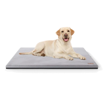 Ein hellfarbener Labrador Retriever liegt auf einem weichen, grauen Haustierbett mit schwarzem Rand und zeigt Komfort und Entspannung.