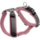 Geschirr Maldon Up altrosa XS