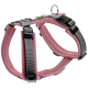 Rosa Hundegeschirr mit gepolsterten Riemen und verstellbaren Schnallen, mit einem Metall-D-Ring zur Leinenbefestigung.