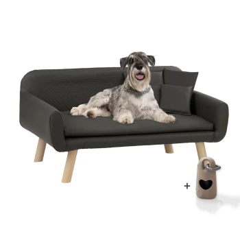 ® Hundebett Kunstleder, Hundecouch mit Gratis-Beigabe Ein schwarzes Haustiersofa mit Holzbeinen, einem liegenden Hund, einem kleinen Kissen und einem beigen herzförmigen Spielzeug.