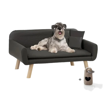 Ein schwarzes Haustiersofa mit Holzbeinen, einem liegenden Hund, einem kleinen Kissen und einem beigen herzförmigen Spielzeug.