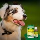 Ein glücklicher schwarz-weißer Hund sitzt neben einem grünen Glas und einer kleinen braunen Flasche mit aVet Fell & Haut Pflegeprodukten.