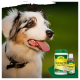 Ein glücklicher schwarz-weißer Hund sitzt neben einem grünen Glas und einer kleinen braunen Flasche mit aVet Fell & Haut Pflegeprodukten.