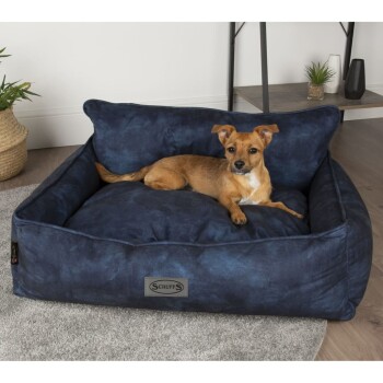 Scruffs & Tramps Hundebett blau L