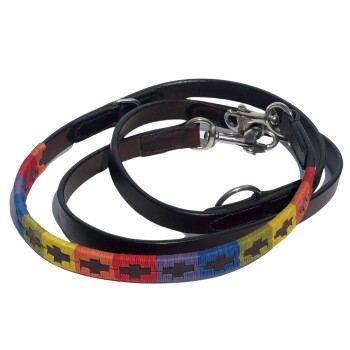 Polo Hundeleine Rainbow