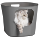 Eine flauschige silberne Katze mit gelben Augen schaut aus einer grauen Aufbewahrungsbox, ihr Pfote ruht auf der Kante.