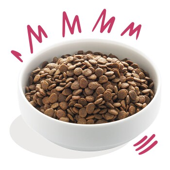 A white bowl filled with brown pet food kibble, surrounded by playful pink sound effects suggesting deliciousness.