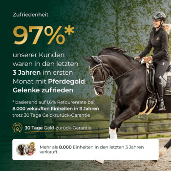 Reiter auf schwarzem Pferd rechts; linke grüne Fläche zeigt goldene '97%' und deutschen Text: Kundenzufriedenheit, Pferdegold Gelenke, 30 Tage Geld-zurück-Garantie.